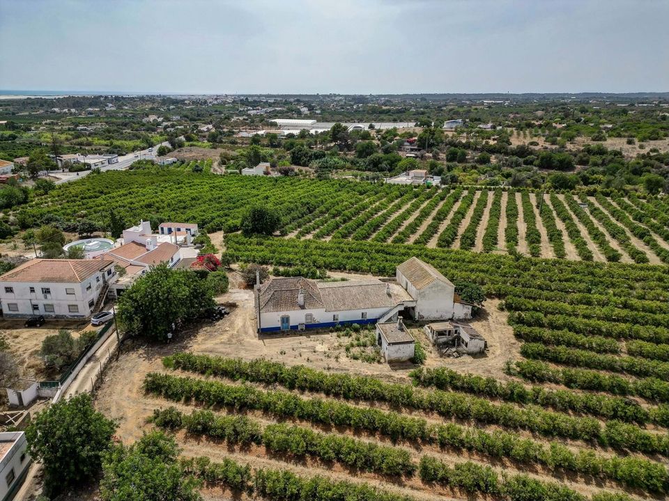 Farm hus i Tavira, Faro - foto 2