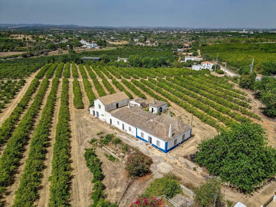 Farm hus i Tavira, Faro - foto 4