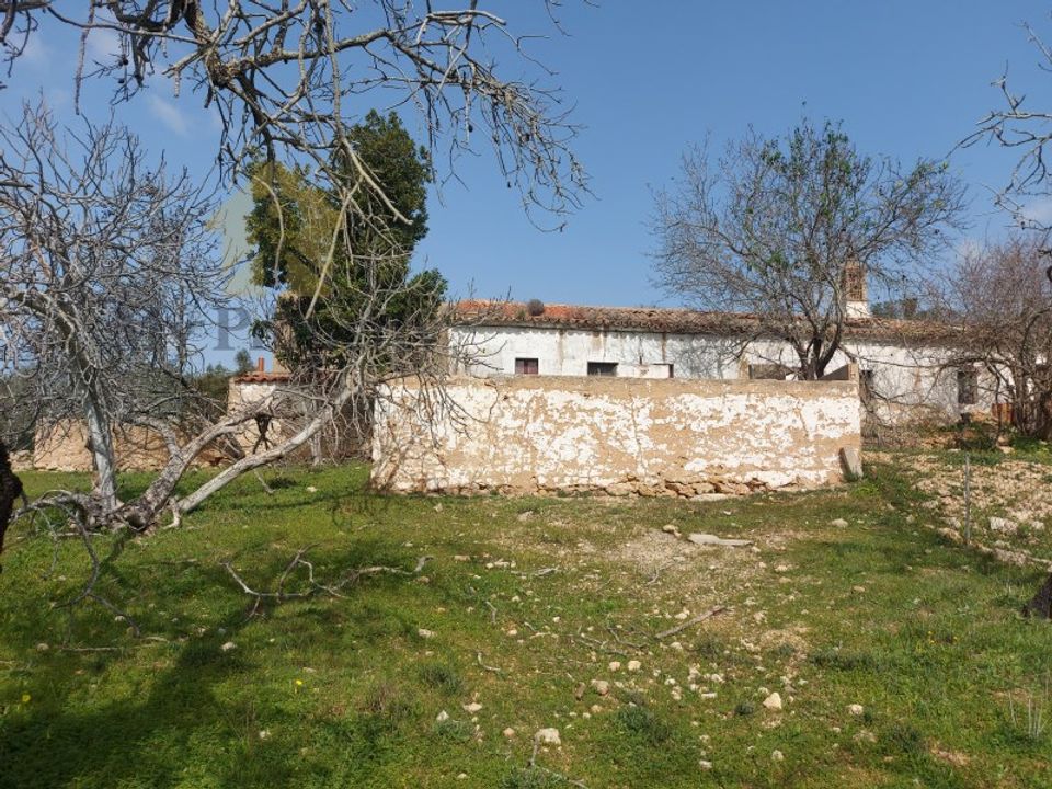 Farm i Ferreiras, Faro - foto 1