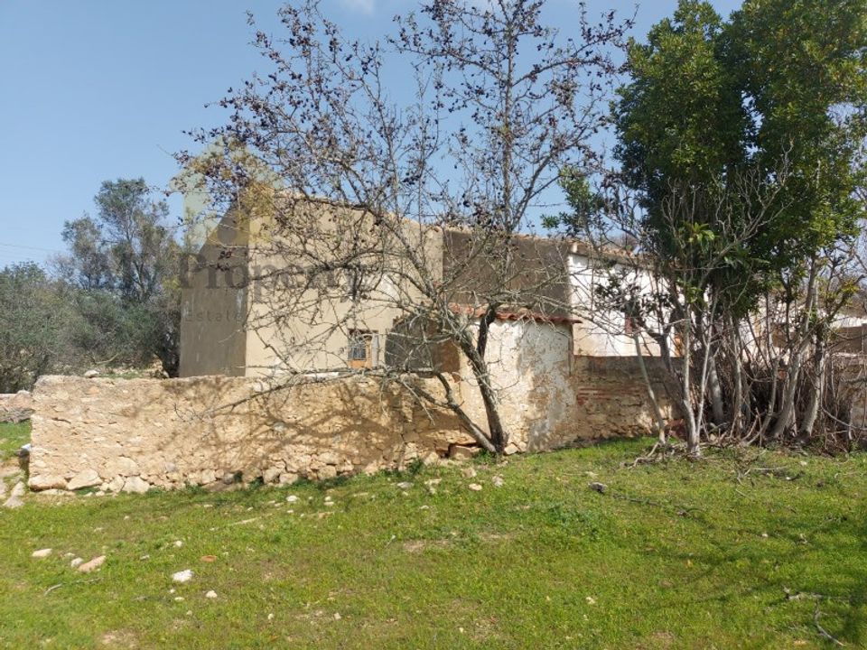Farm i Ferreiras, Faro - foto 2