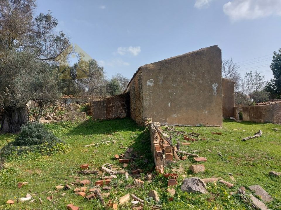Farm i Ferreiras, Faro - foto 5
