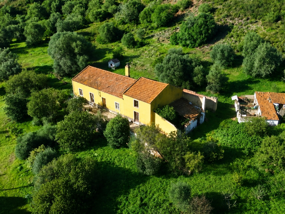 Farm hus i Silves, Faro - foto 1