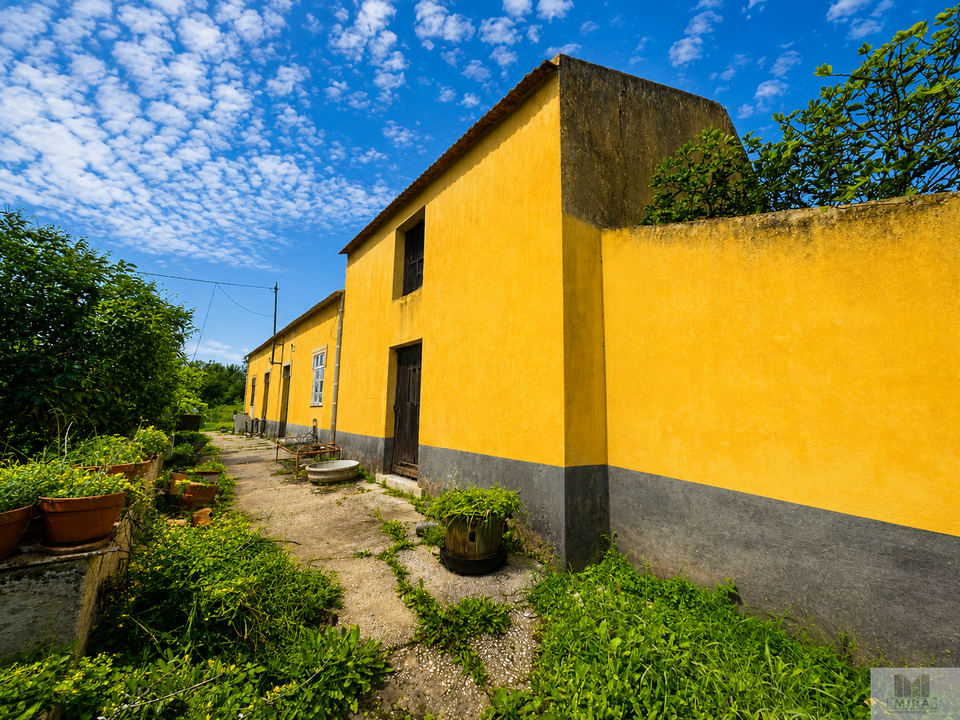 Farm hus i Silves, Faro - foto 4