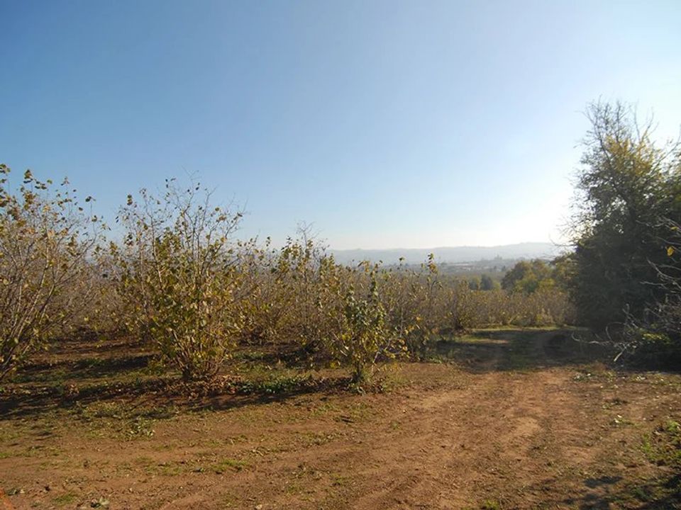 Landejendom i Carrù, Cuneo - foto 4