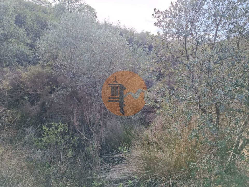 Tomt i Alcoutim, Faro - bilde 3