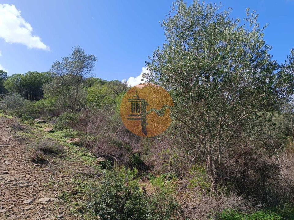 Helårsgrund i Alcoutim, Faro - foto 5