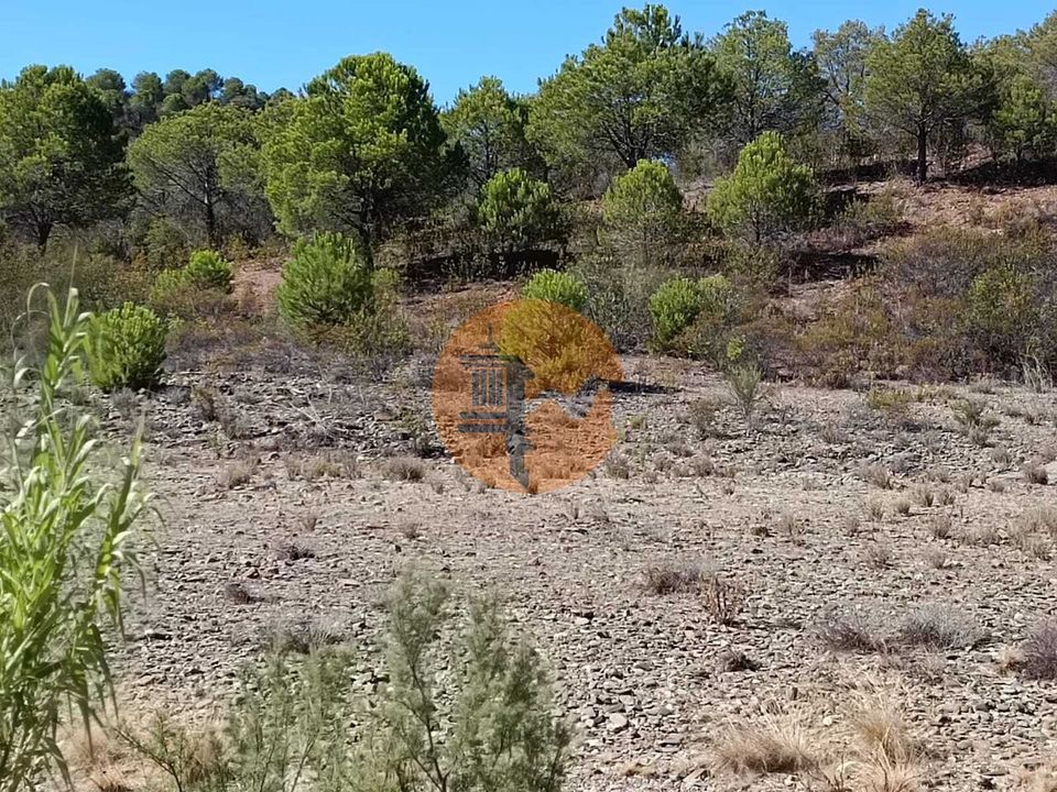 Helårsgrund i Alcoutim, Faro - foto 1