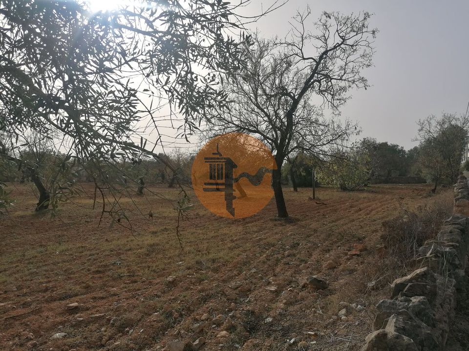 Helårsgrund i Estoi, Faro - foto 1
