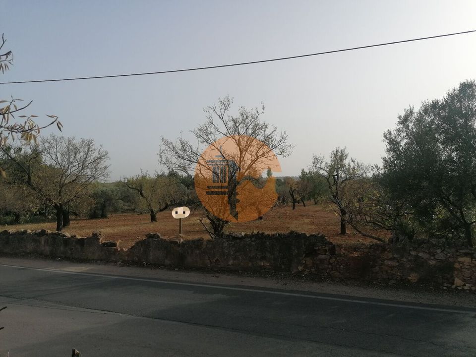 Helårsgrund i Estoi, Faro - foto 4