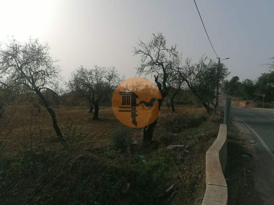 Helårsgrund i Estoi, Faro - foto 5