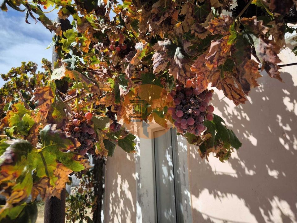 Villa i Castro Marim, Faro - foto 5