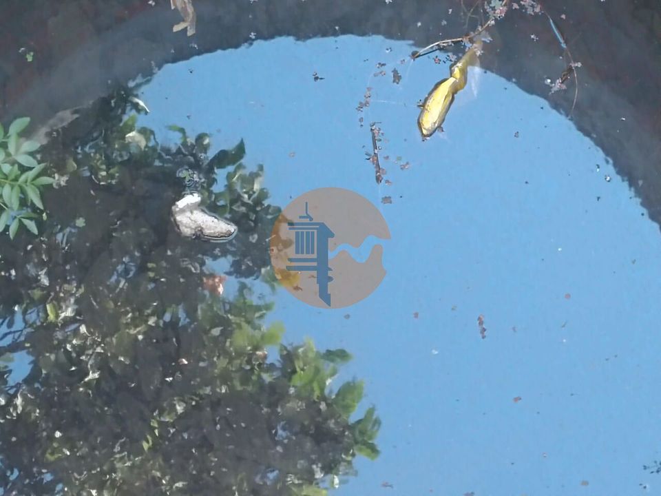 Helårsgrund i Castro Marim, Faro - foto 2