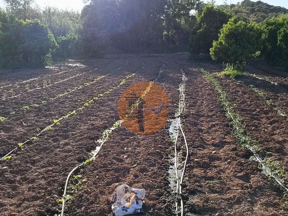 Helårsgrund i Castro Marim, Faro - foto 5
