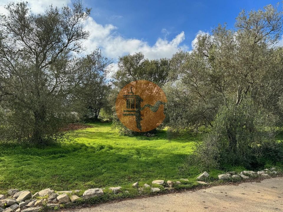 Helårsgrund i Sao Bras de Alportel, Faro - foto 3