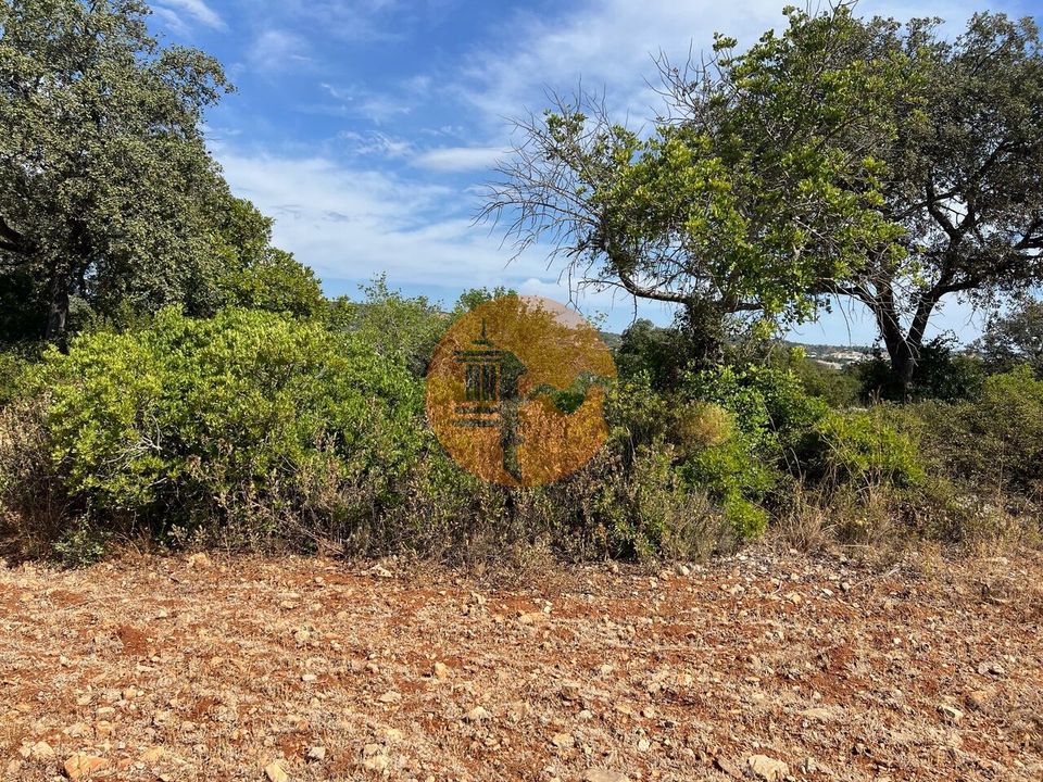 Helårsgrund i Sao Bras de Alportel, Faro - foto 3