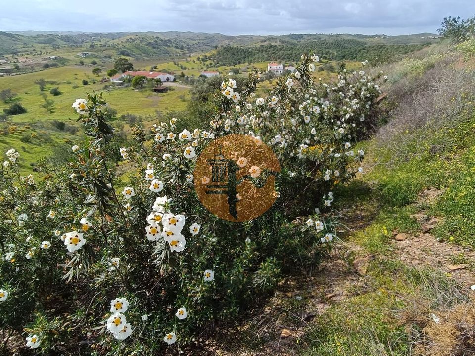 Helårsgrund i Castro Marim, Faro - foto 4