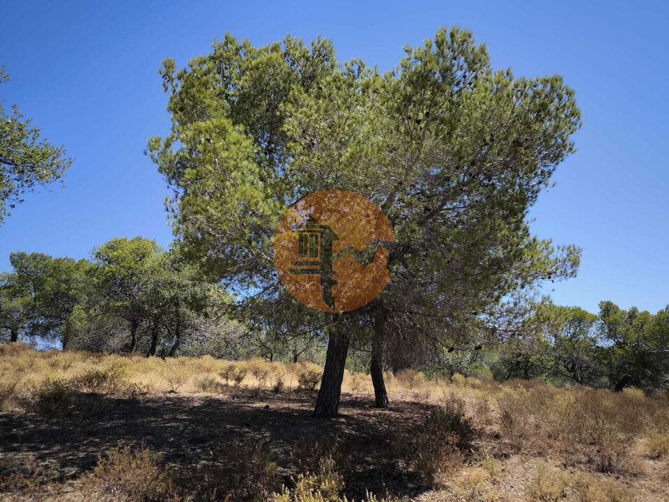 Helårsgrund i Castro Marim, Faro - foto 1