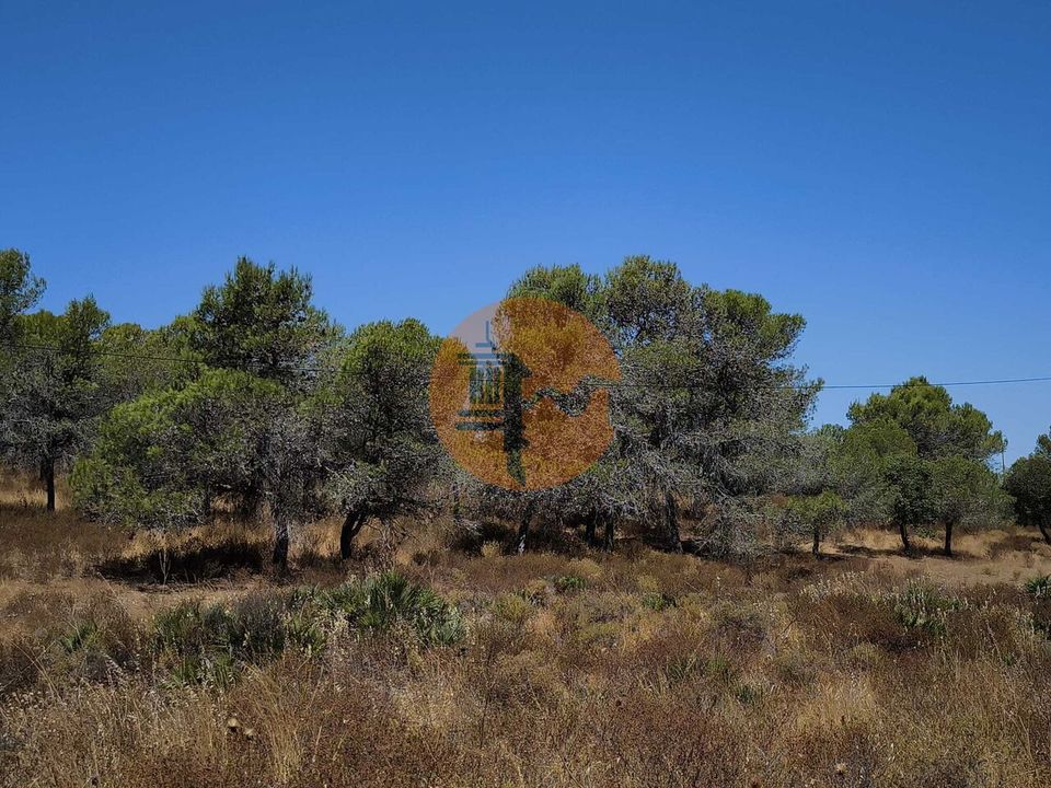 Helårsgrund i Castro Marim, Faro - foto 5