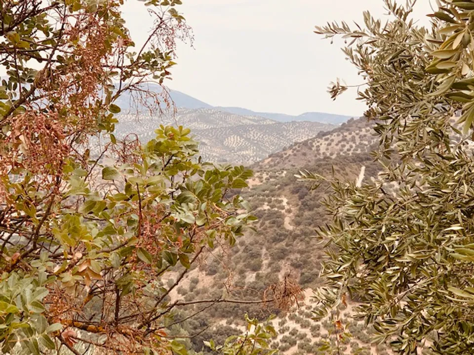 Finca i Fuente De Cesna, Granada - foto 3