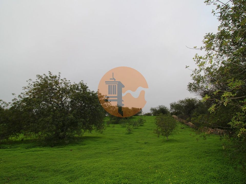 Tomt i Santo Estevao, Faro - bilde 5