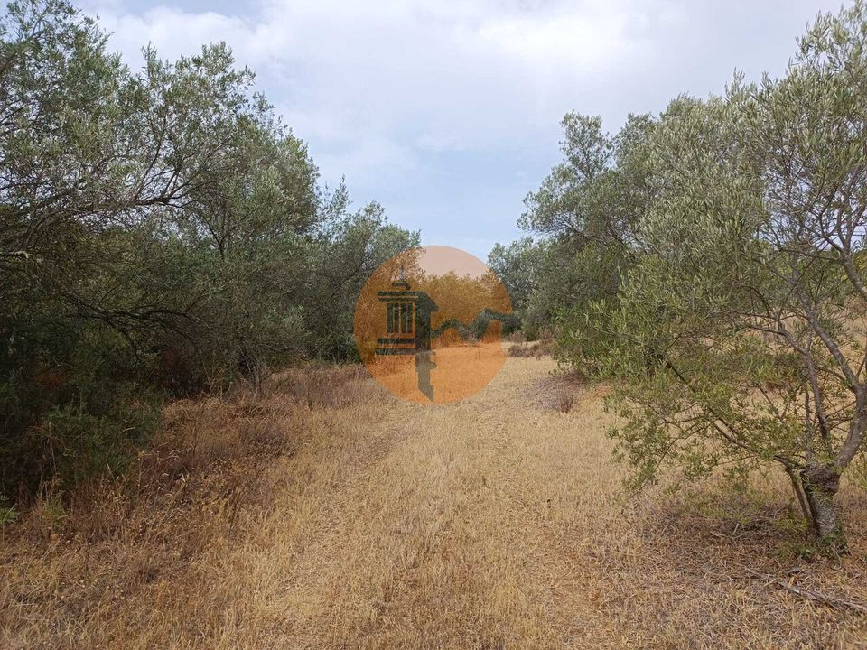 Helårsgrund i Alcoutim, Faro - foto 5