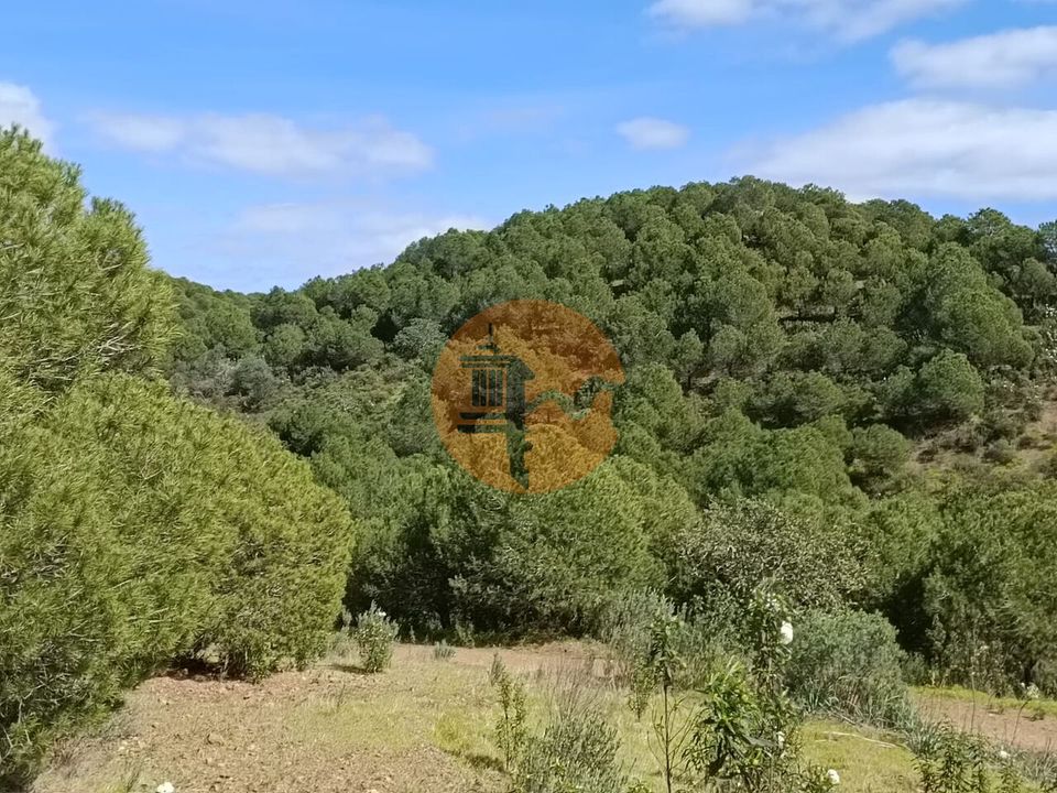 Helårsgrund i Castro Marim, Faro - foto 1