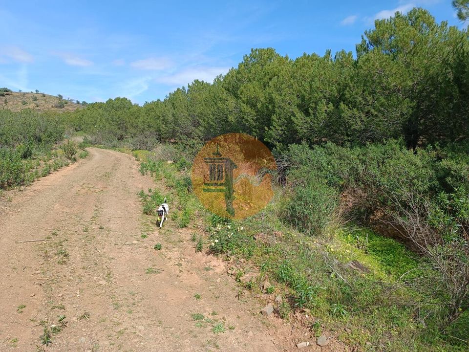 Helårsgrund i Castro Marim, Faro - foto 5
