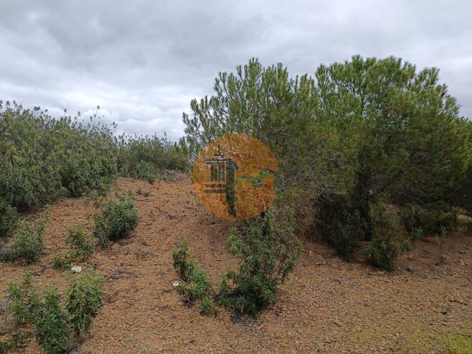 Helårsgrund i Castro Marim, Faro - foto 3