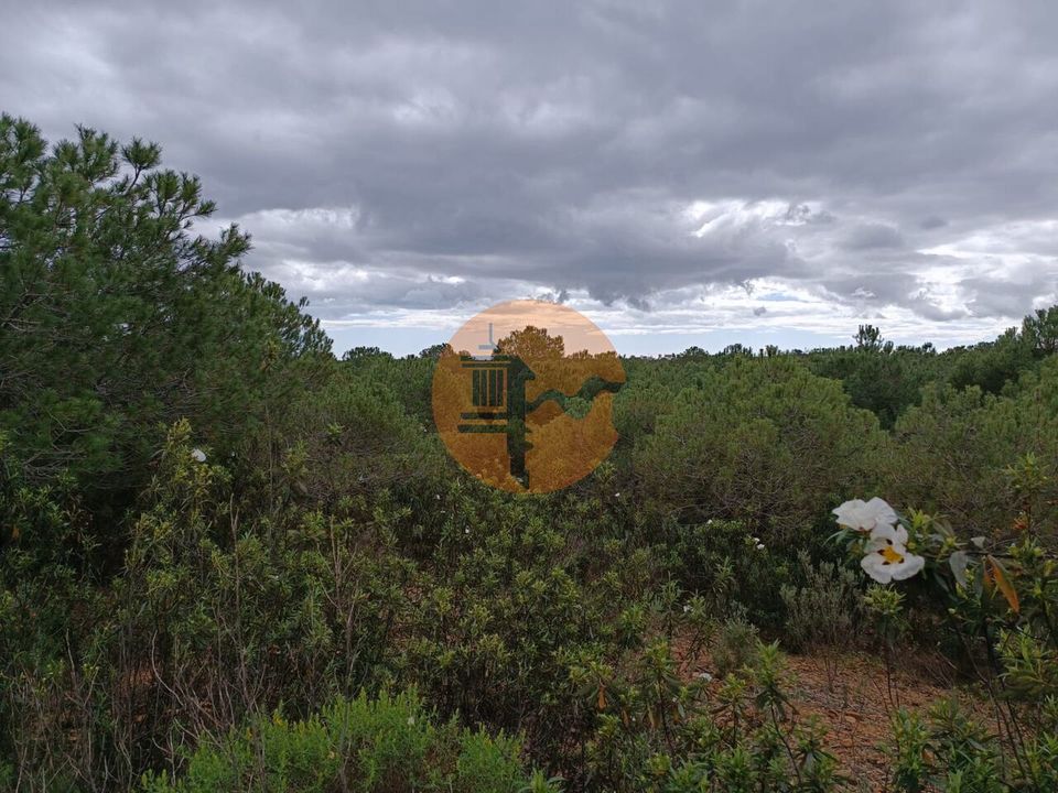 Helårsgrund i Castro Marim, Faro - foto 5