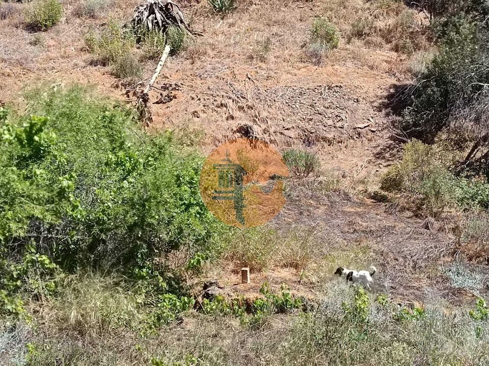 Helårsgrund i Castro Marim, Faro - foto 1