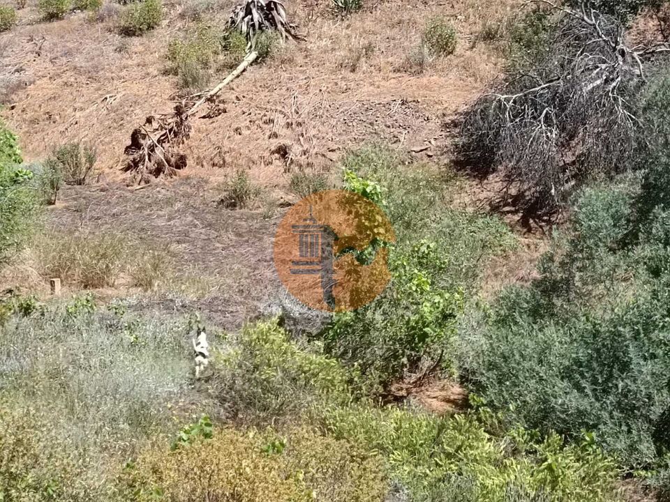 Helårsgrund i Castro Marim, Faro - foto 5