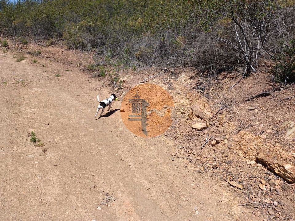 Terreno en Castro Marim, Faro - foto 5