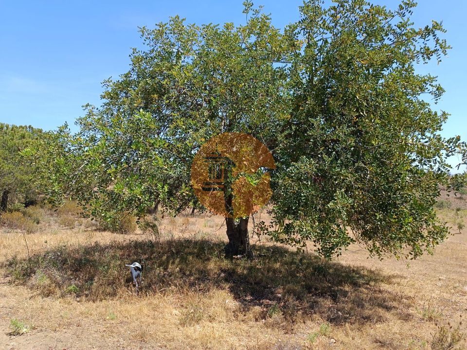 Helårsgrund i Castro Marim, Faro - foto 1