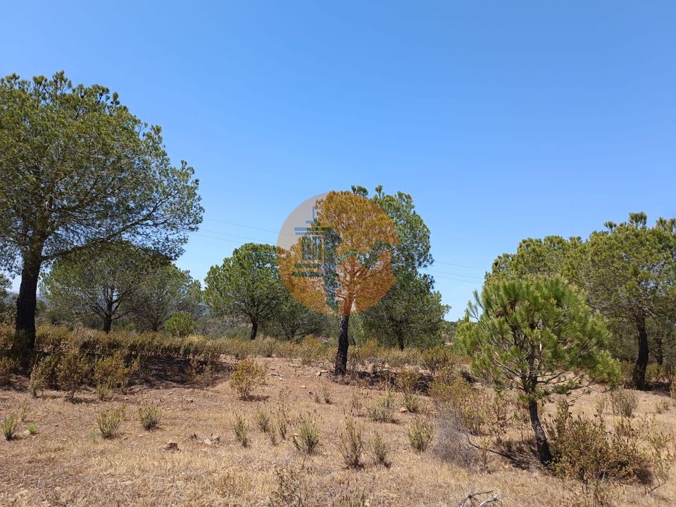 Helårsgrund i Castro Marim, Faro - foto 3