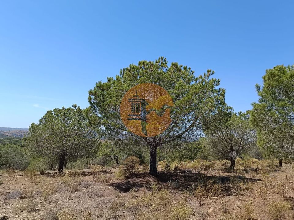 Helårsgrund i Castro Marim, Faro - foto 4