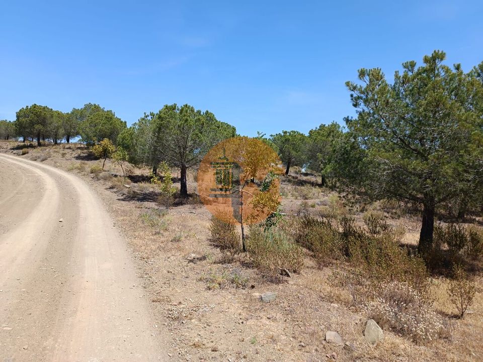 Helårsgrund i Castro Marim, Faro - foto 5