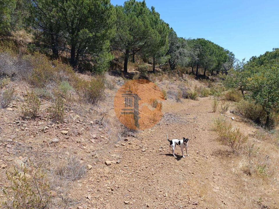 Helårsgrund i Castro Marim, Faro - foto 5