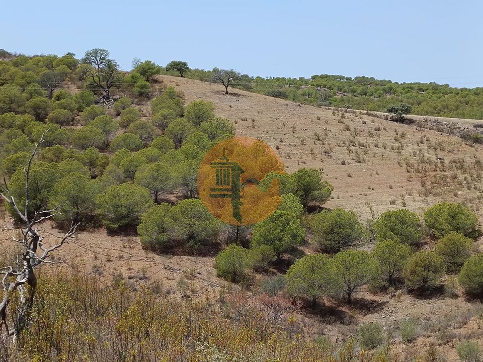 Helårsgrund i Castro Marim, Faro - foto 4