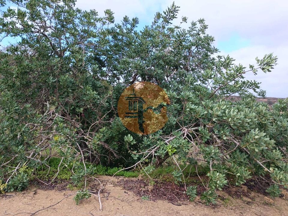 Terreno en Castro Marim, Faro - foto 1