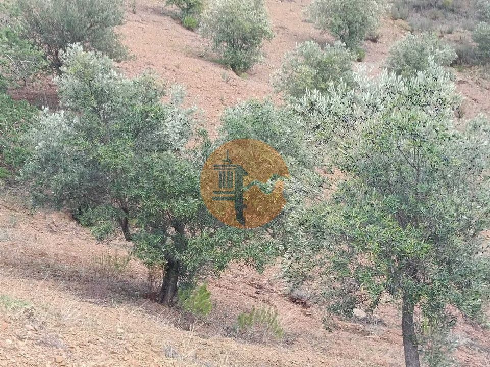 Helårsgrund i Castro Marim, Faro - foto 1