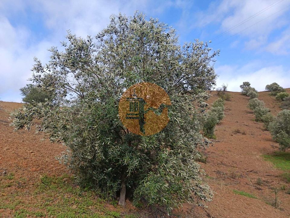 Helårsgrund i Castro Marim, Faro - foto 3