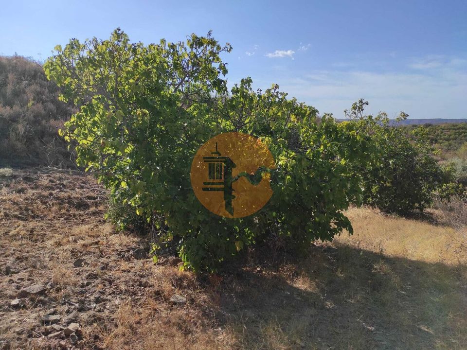Helårsgrund i Castro Marim, Faro - foto 1