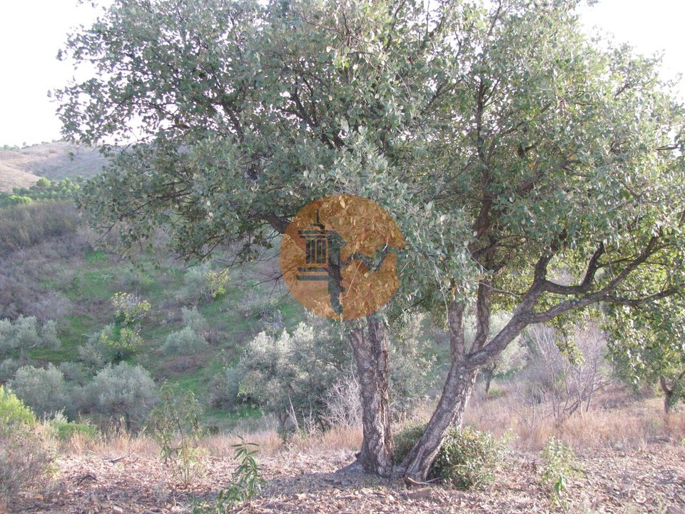 Helårsgrund i Castro Marim, Faro - foto 4