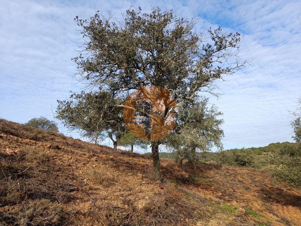 Helårsgrund i Castro Marim, Faro - foto 2