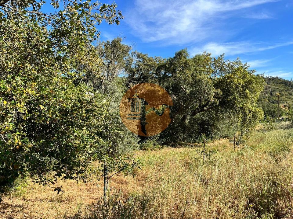 Helårsgrund i Loule, Faro - foto 2