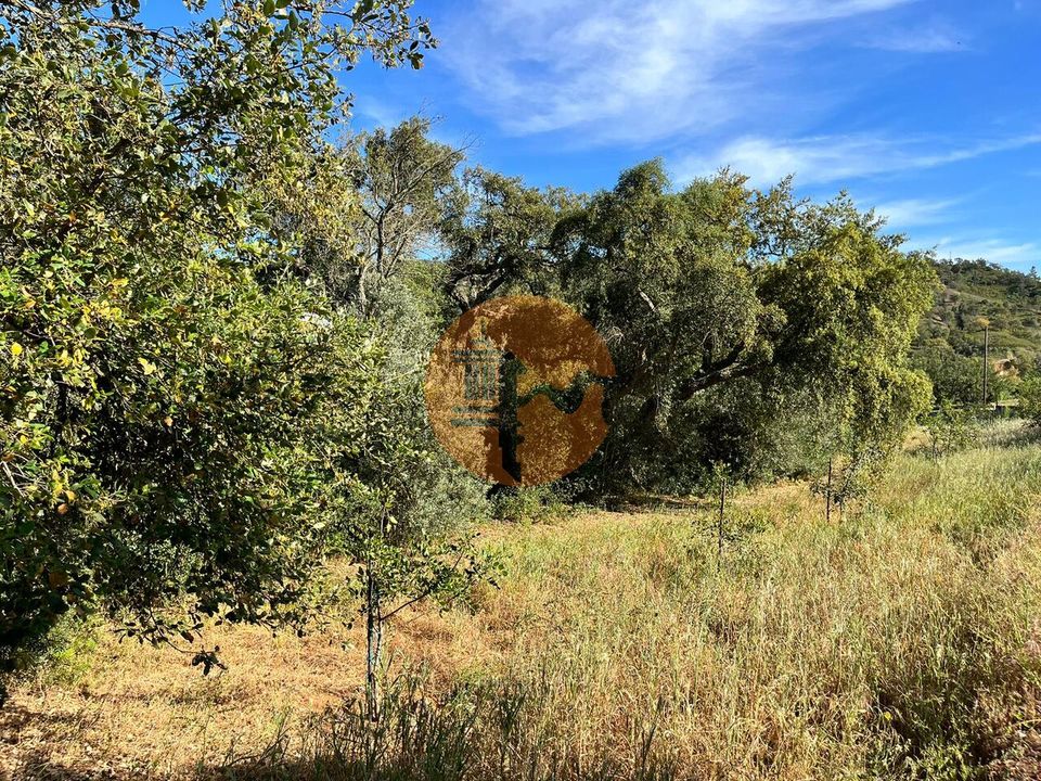 Helårsgrund i Loule, Faro - foto 5