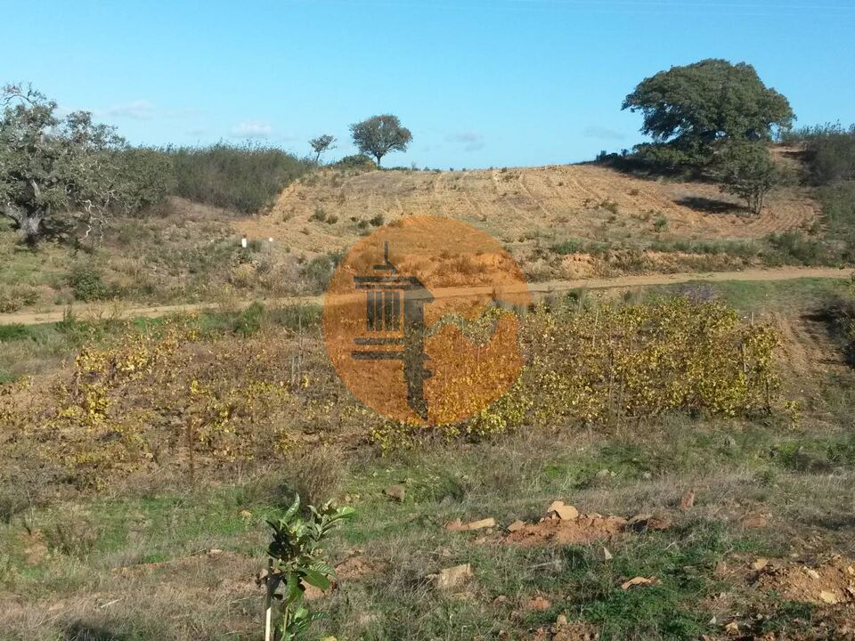 Helårsgrund i Castro Marim, Faro - foto 3