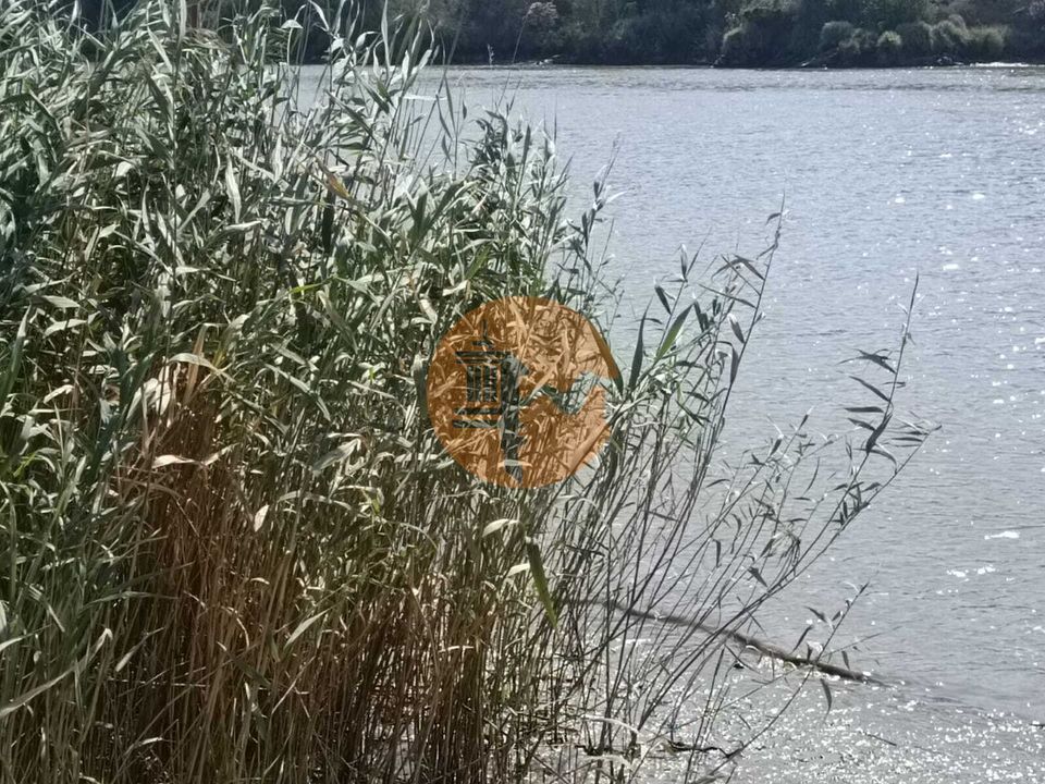 Helårsgrund i Alcoutim, Faro - foto 3