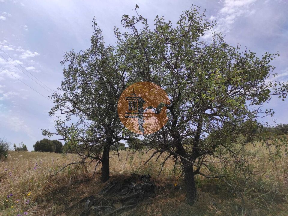 Helårsgrund i Castro Marim, Faro - foto 1