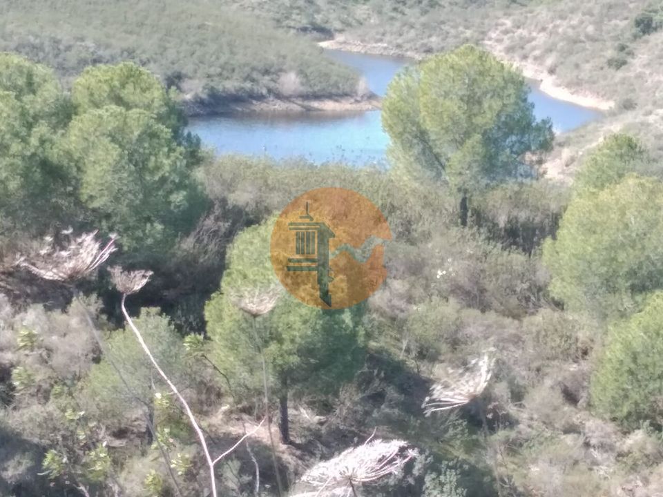 Gård i Alcoutim, Faro - bilde 5